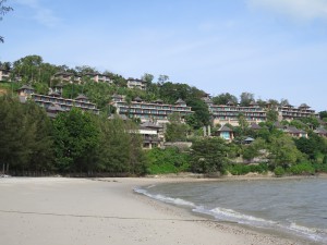 IMG_2634