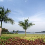 SAMSUNG CAMERA PICTURES